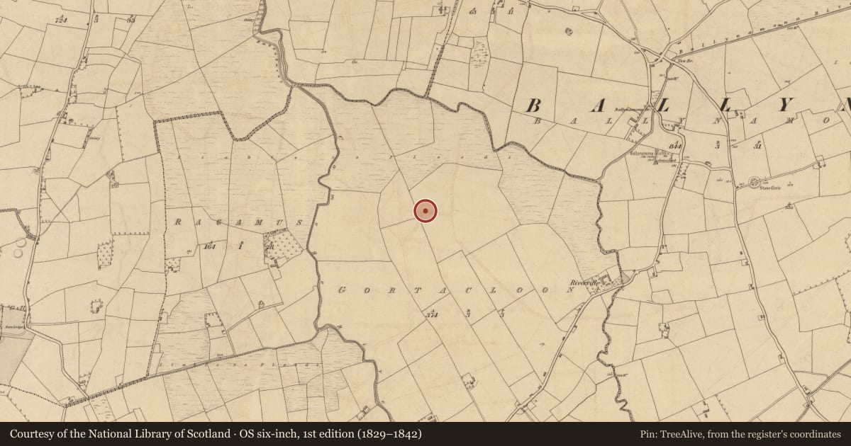 Ordnance Survey six-inch map, 1st edition (1829–1842) covering the location of Barrow - ditch barrow, Gortacloona, County Limerick, with a pin at the register's coordinates
