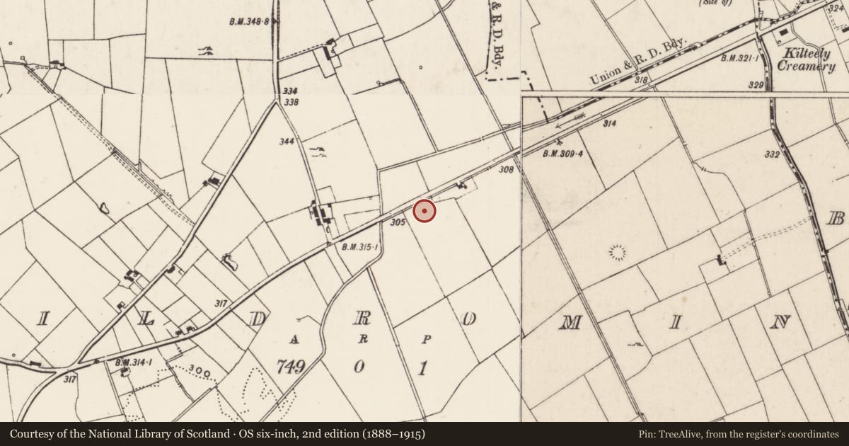 Ordnance Survey six-inch map, 2nd edition (1888–1915) covering the location of Enclosure, Kildromin, County Limerick, with a pin at the register's coordinates
