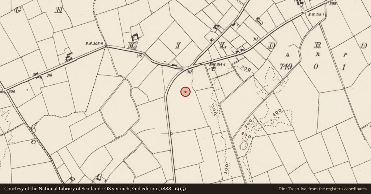 Ordnance Survey six-inch map, 2nd edition (1888–1915) covering the location of Earthwork, Kildromin, County Limerick, with a pin at the register's coordinates