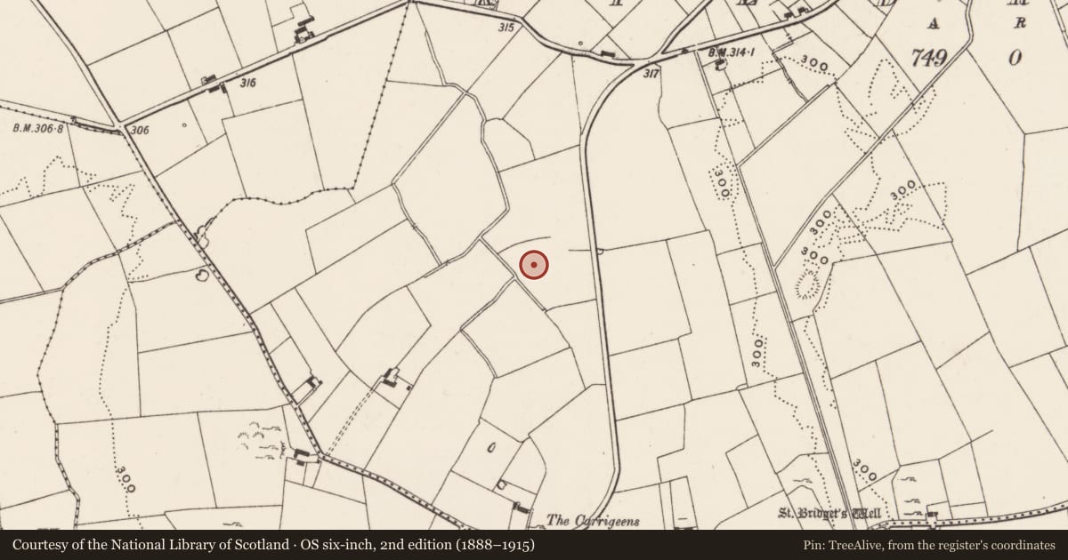 Ordnance Survey six-inch map, 2nd edition (1888–1915) covering the location of Barrow - unclassified, Kildromin, County Limerick, with a pin at the register's coordinates
