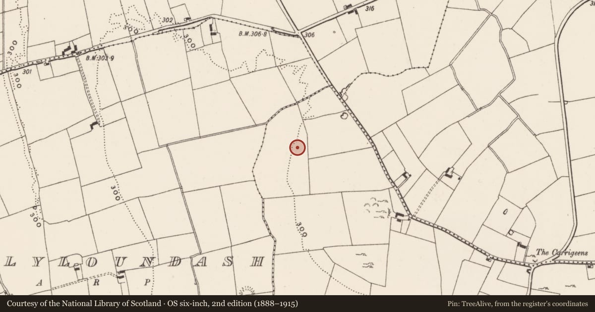 Ordnance Survey six-inch map, 2nd edition (1888–1915) covering the location of Enclosure, Ballynagranagh, County Limerick, with a pin at the register's coordinates