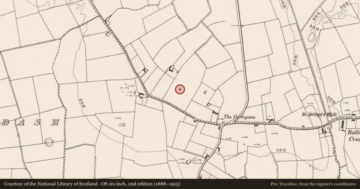 Ordnance Survey six-inch map, 2nd edition (1888–1915) covering the location of Barrow - ditch barrow, Kildromin, County Limerick, with a pin at the register's coordinates