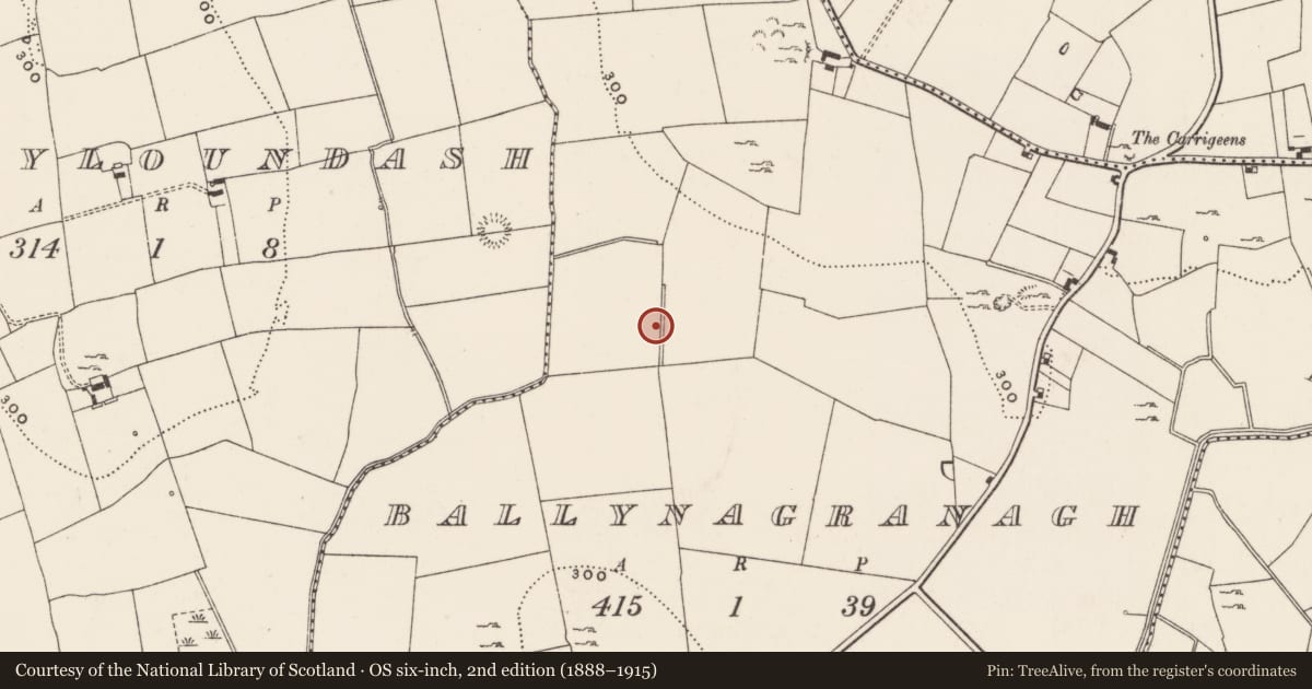 Ordnance Survey six-inch map, 2nd edition (1888–1915) covering the location of Earthwork, Ballynagranagh, County Limerick, with a pin at the register's coordinates