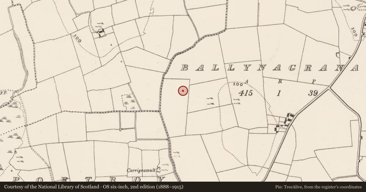 Ordnance Survey six-inch map, 2nd edition (1888–1915) covering the location of Enclosure, Ballynagranagh, County Limerick, with a pin at the register's coordinates