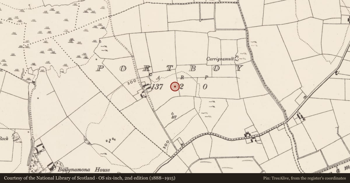Ordnance Survey six-inch map, 2nd edition (1888–1915) covering the location of Earthwork, Portboy, County Limerick, with a pin at the register's coordinates