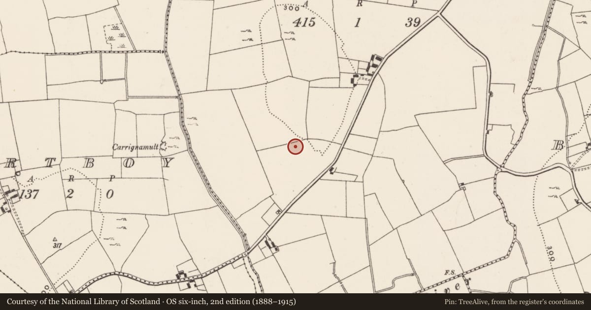 Ordnance Survey six-inch map, 2nd edition (1888–1915) covering the location of Road - road/trackway, Ballynagranagh, County Limerick, with a pin at the register's coordinates
