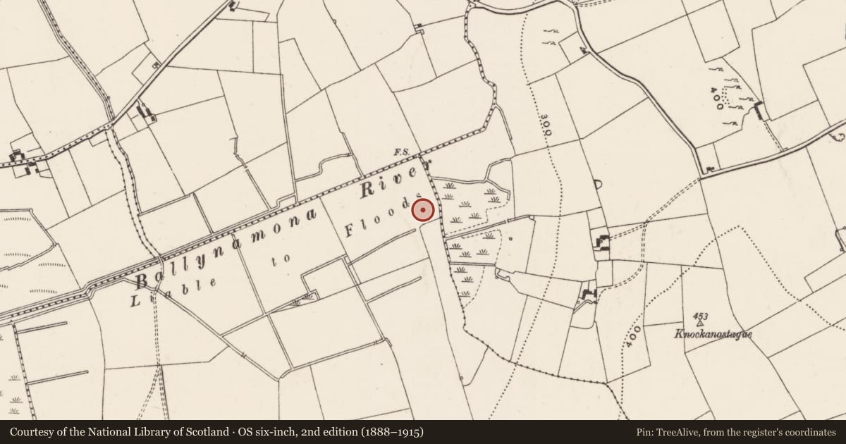 Ordnance Survey six-inch map, 2nd edition (1888–1915) covering the location of Enclosure, Ballincurra, County Limerick, with a pin at the register's coordinates