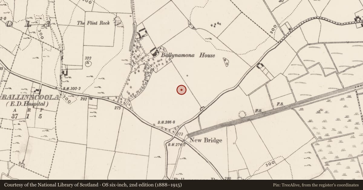 Ordnance Survey six-inch map, 2nd edition (1888–1915) covering the location of Barrow - ditch barrow, Ballynamona, County Limerick, with a pin at the register's coordinates