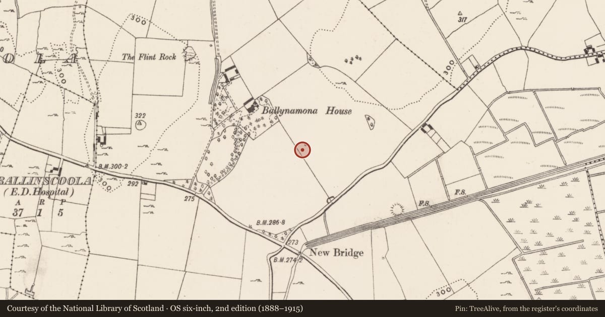 Ordnance Survey six-inch map, 2nd edition (1888–1915) covering the location of Field system, Ballynamona, County Limerick, with a pin at the register's coordinates