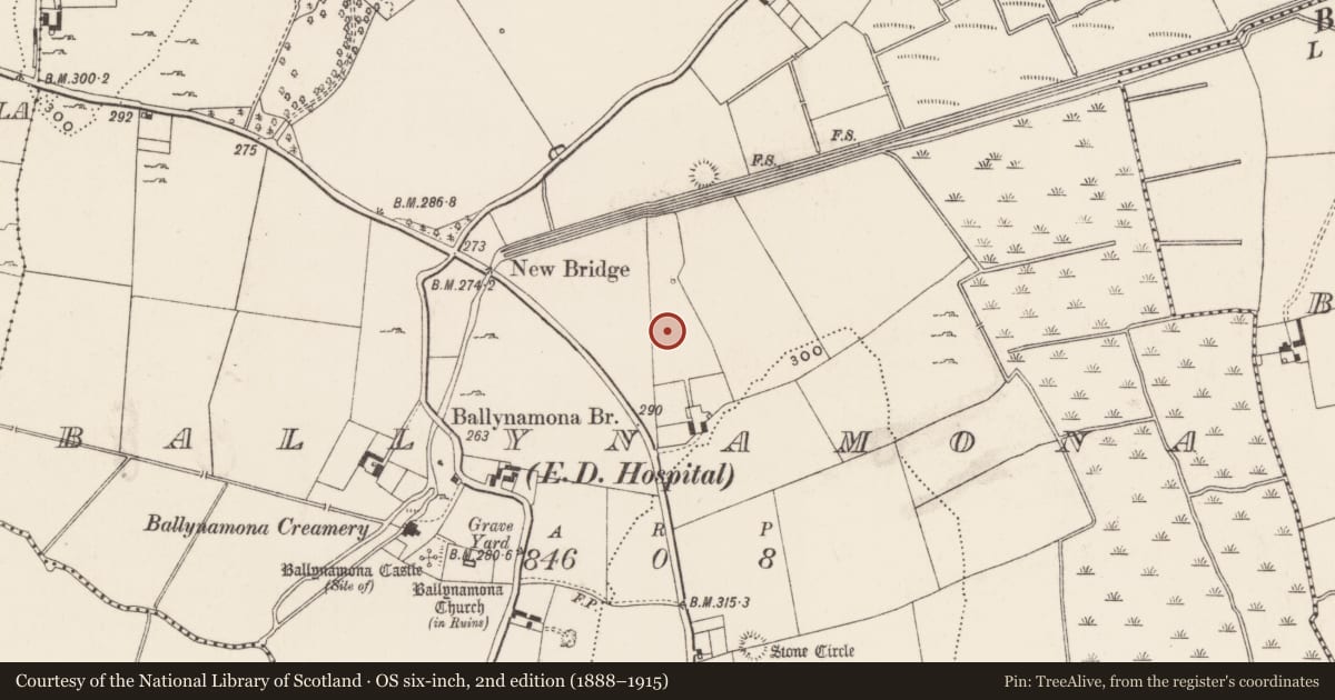 Ordnance Survey six-inch map, 2nd edition (1888–1915) covering the location of Enclosure, Ballynamona, County Limerick, with a pin at the register's coordinates