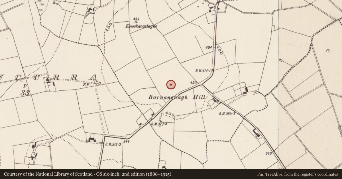Ordnance Survey six-inch map, 2nd edition (1888–1915) covering the location of Enclosure, Ballinlough, County Limerick, with a pin at the register's coordinates