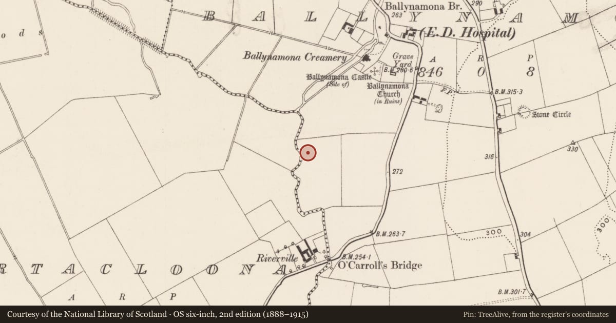 Ordnance Survey six-inch map, 2nd edition (1888–1915) covering the location of Enclosure, Ballynamona, County Limerick, with a pin at the register's coordinates