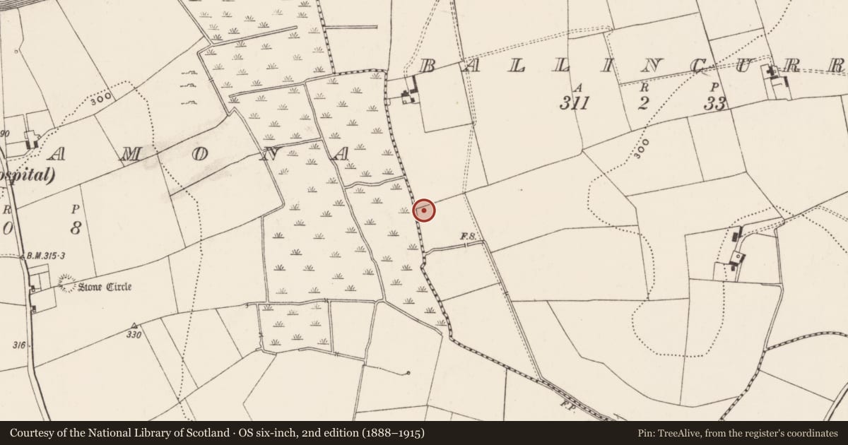 Ordnance Survey six-inch map, 2nd edition (1888–1915) covering the location of Enclosure, Ballincurra, County Limerick, with a pin at the register's coordinates