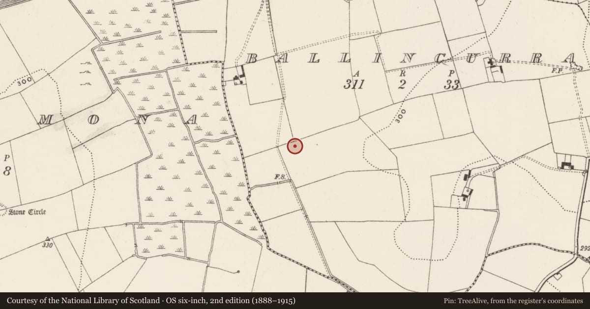 Ordnance Survey six-inch map, 2nd edition (1888–1915) covering the location of Barrow - ditch barrow, Ballincurra, County Limerick, with a pin at the register's coordinates