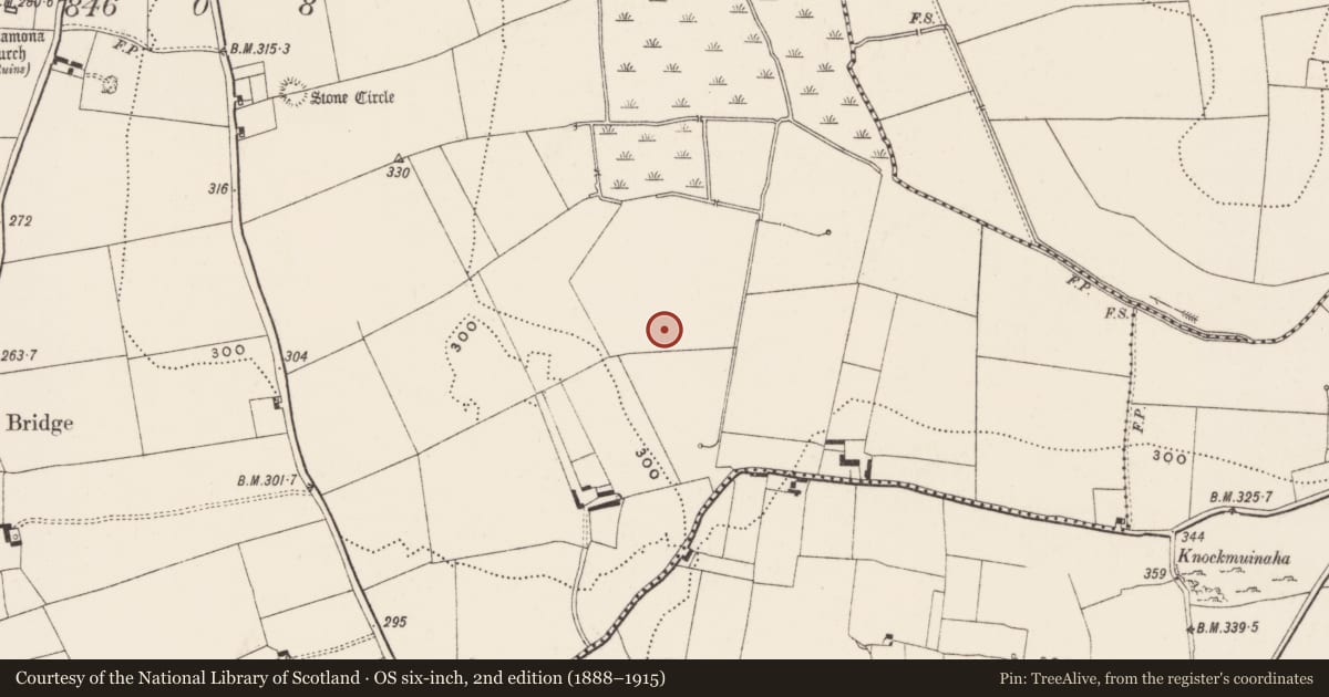 Ordnance Survey six-inch map, 2nd edition (1888–1915) covering the location of Barrow - ditch barrow, Ballynamona, County Limerick, with a pin at the register's coordinates