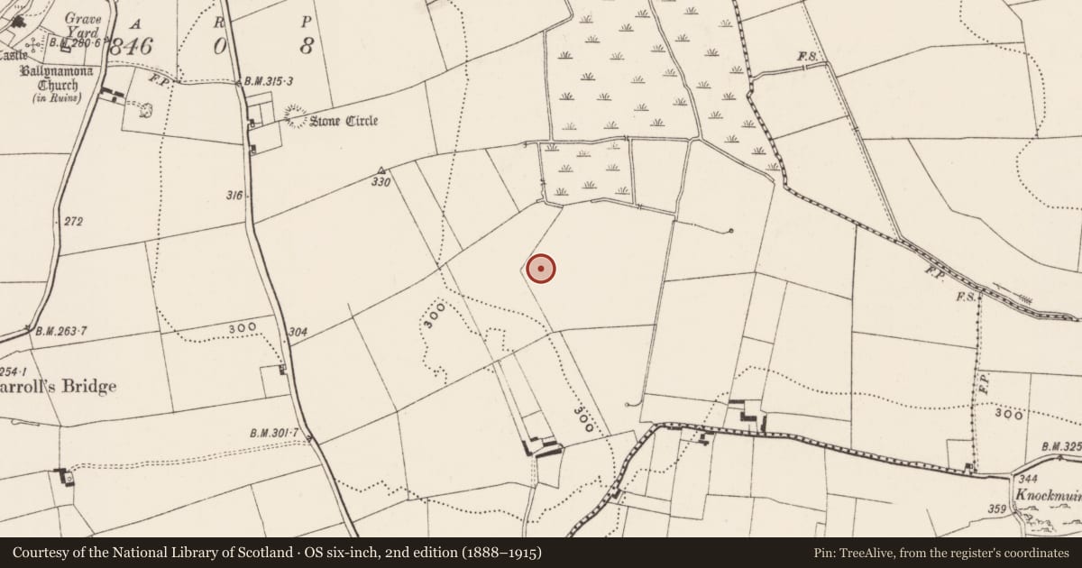 Ordnance Survey six-inch map, 2nd edition (1888–1915) covering the location of Barrow - ditch barrow, Ballynamona, County Limerick, with a pin at the register's coordinates
