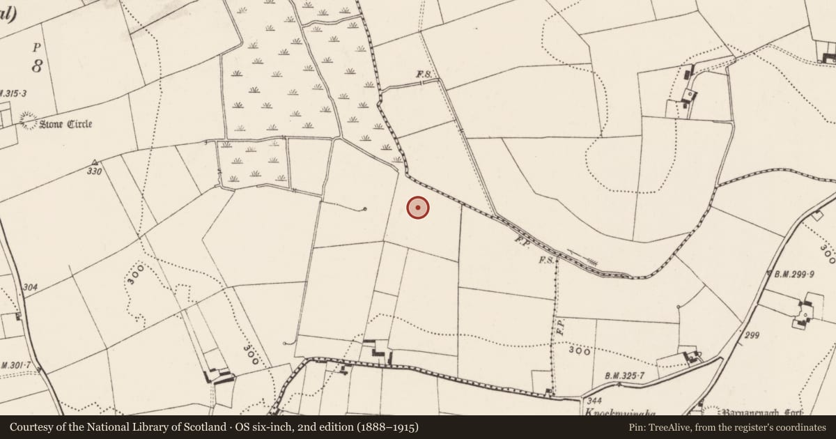 Ordnance Survey six-inch map, 2nd edition (1888–1915) covering the location of Barrow - ditch barrow, Ballynamona, County Limerick, with a pin at the register's coordinates