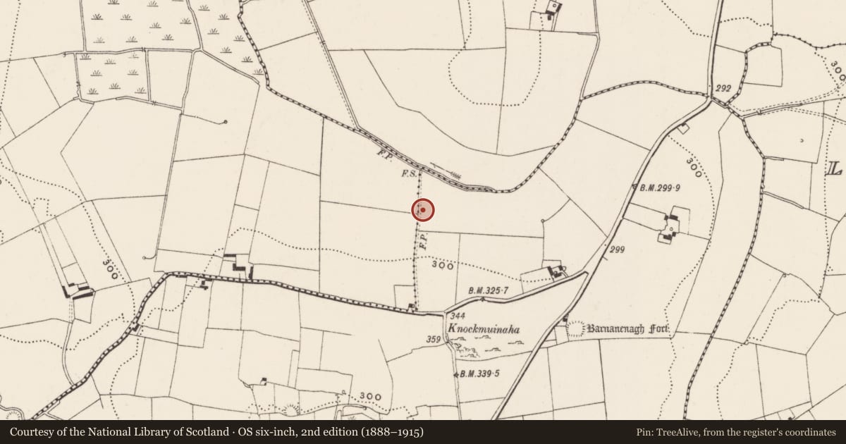 Ordnance Survey six-inch map, 2nd edition (1888–1915) covering the location of Barrow - ditch barrow, Castlefarm, Ballynamona, County Limerick, with a pin at the register's coordinates