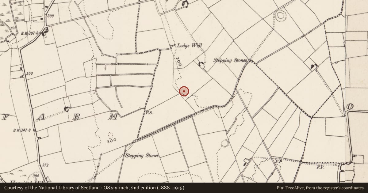 Ordnance Survey six-inch map, 2nd edition (1888–1915) covering the location of Moated site, Lodge, County Limerick, with a pin at the register's coordinates
