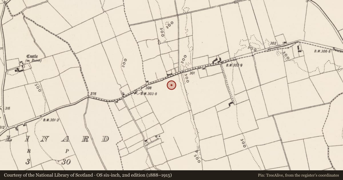 Ordnance Survey six-inch map, 2nd edition (1888–1915) covering the location of Earthwork, Ballyloundash, County Limerick, with a pin at the register's coordinates