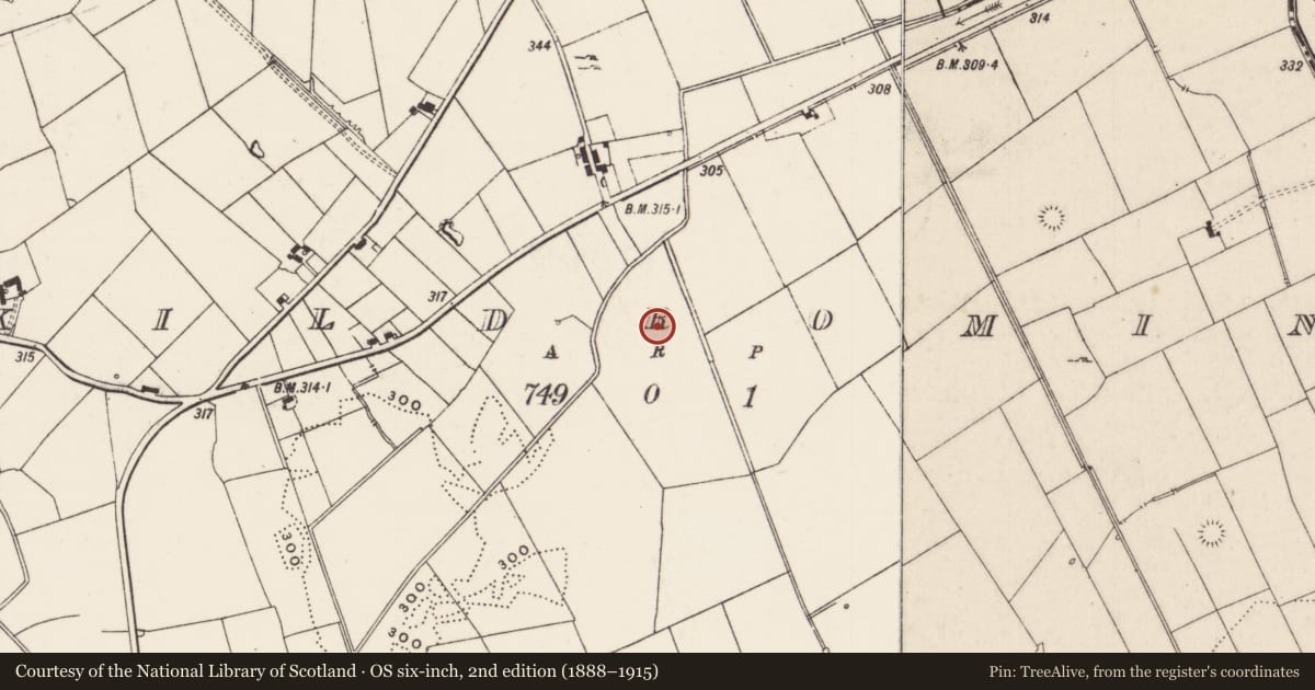 Ordnance Survey six-inch map, 2nd edition (1888–1915) covering the location of Earthwork, Kildromin, County Limerick, with a pin at the register's coordinates
