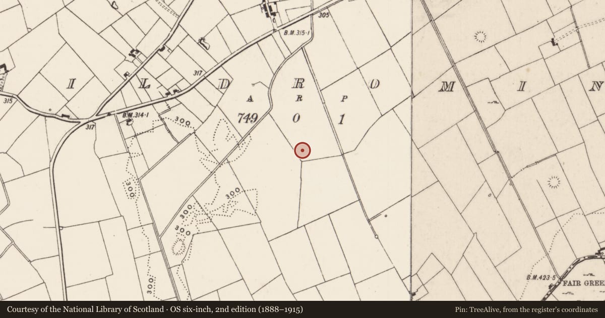 Ordnance Survey six-inch map, 2nd edition (1888–1915) covering the location of Linear earthwork, Kildromin, County Limerick, with a pin at the register's coordinates
