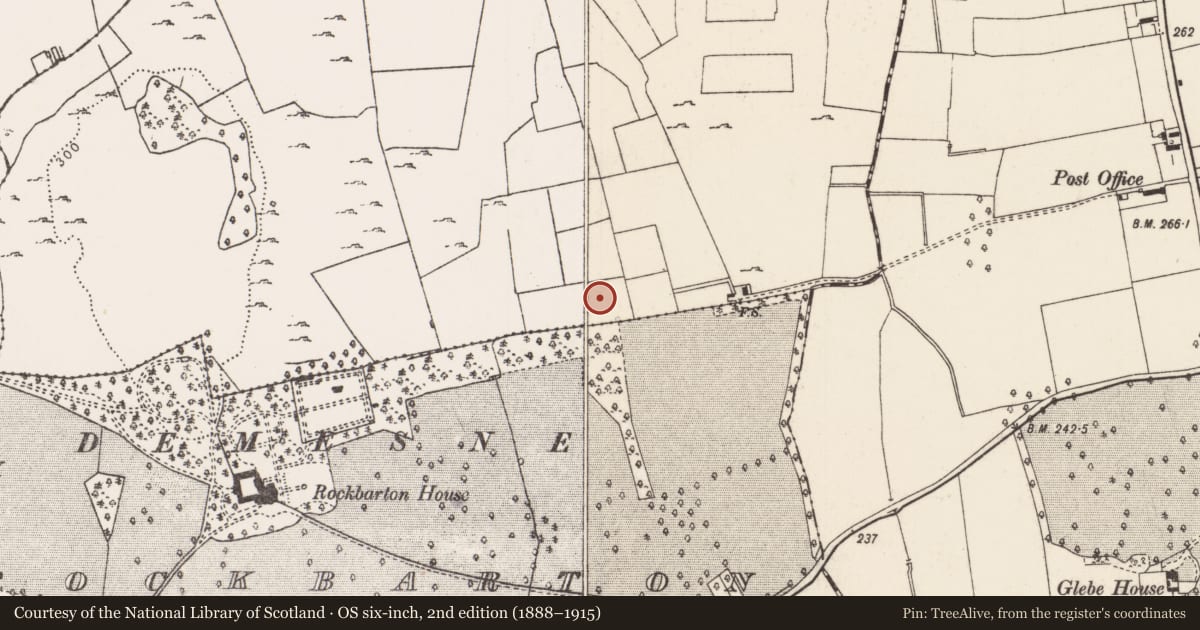 Ordnance Survey six-inch map, 2nd edition (1888–1915) covering the location of Enclosure, Raheen, County Limerick, with a pin at the register's coordinates