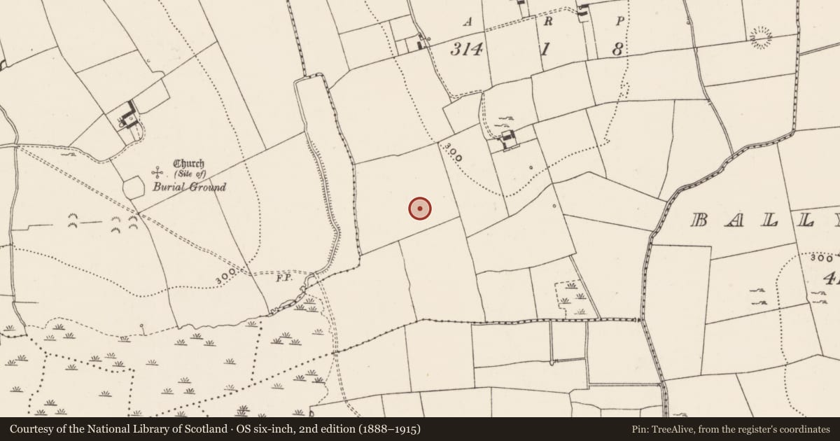 Ordnance Survey six-inch map, 2nd edition (1888–1915) covering the location of Enclosure, Ballyloundash, County Limerick, with a pin at the register's coordinates