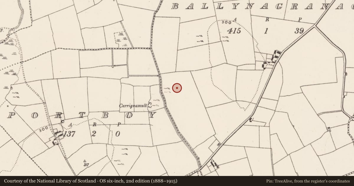 Ordnance Survey six-inch map, 2nd edition (1888–1915) covering the location of Barrow - ditch barrow, Ballynagranagh, County Limerick, with a pin at the register's coordinates
