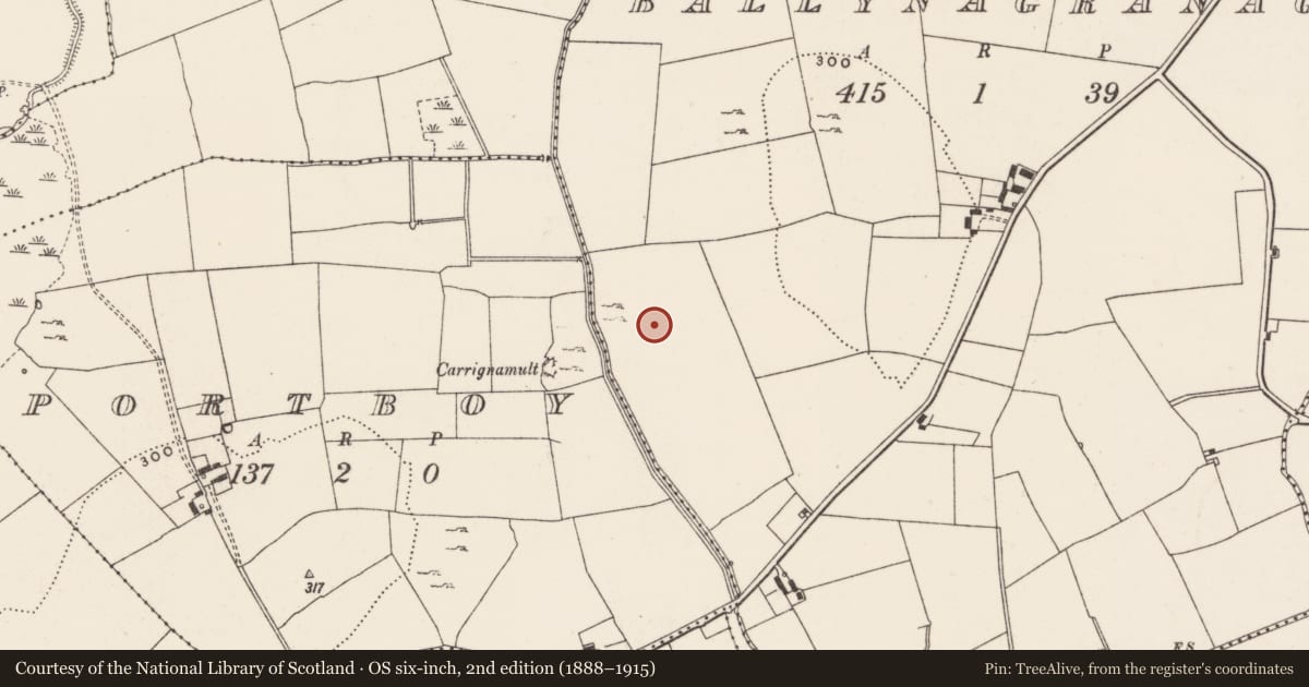 Ordnance Survey six-inch map, 2nd edition (1888–1915) covering the location of Barrow - ditch barrow, Ballynagranagh, County Limerick, with a pin at the register's coordinates