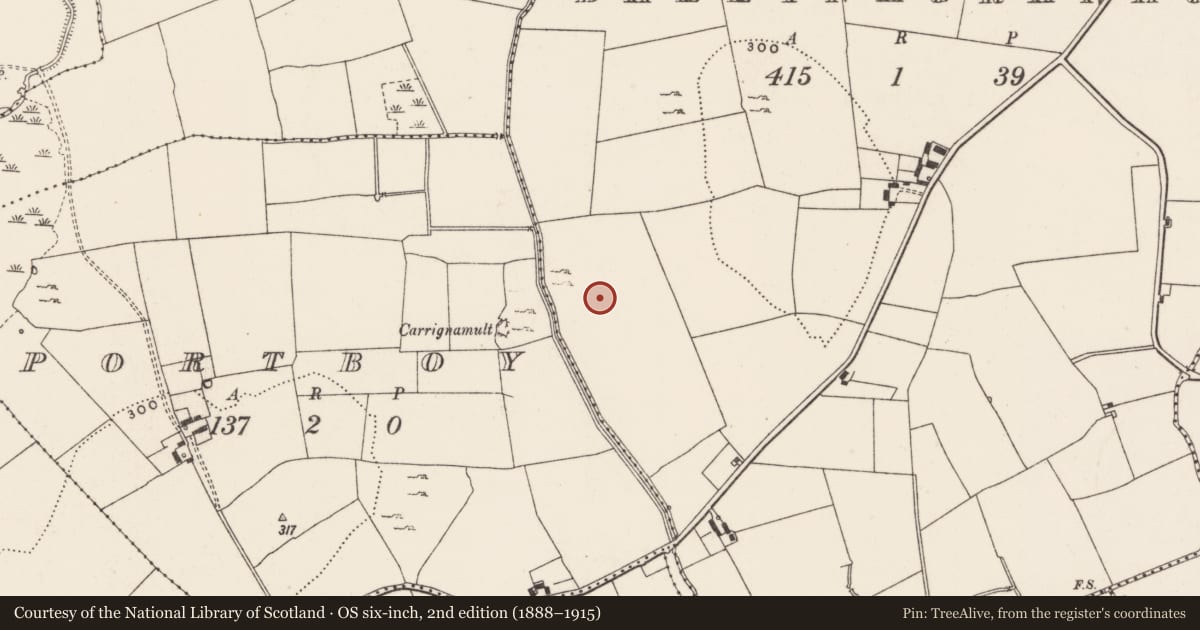 Ordnance Survey six-inch map, 2nd edition (1888–1915) covering the location of Barrow - ditch barrow, Ballynagranagh, County Limerick, with a pin at the register's coordinates