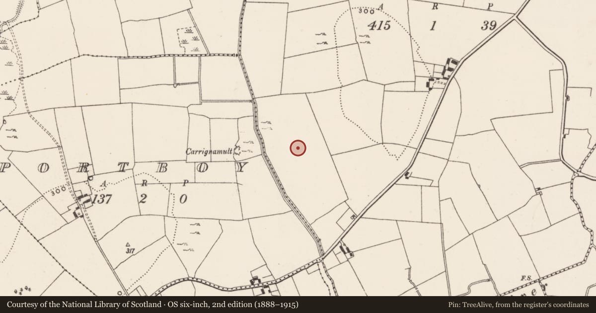 Ordnance Survey six-inch map, 2nd edition (1888–1915) covering the location of Barrow - ditch barrow, Ballynagranagh, County Limerick, with a pin at the register's coordinates