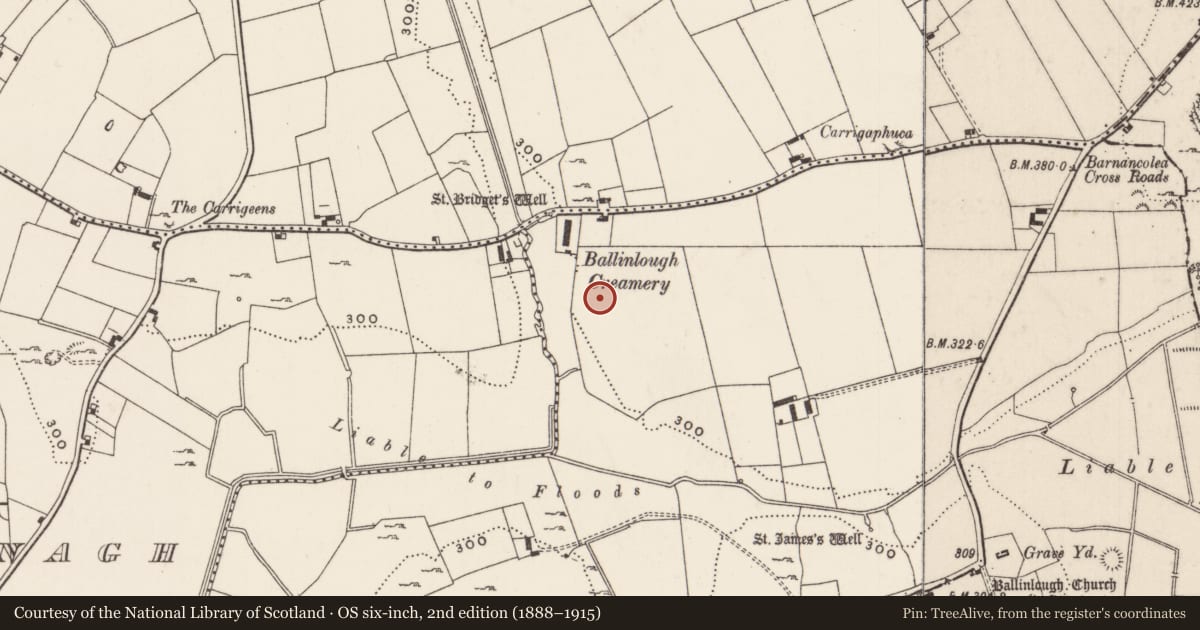 Ordnance Survey six-inch map, 2nd edition (1888–1915) covering the location of Enclosure, Ballinlough, County Limerick, with a pin at the register's coordinates