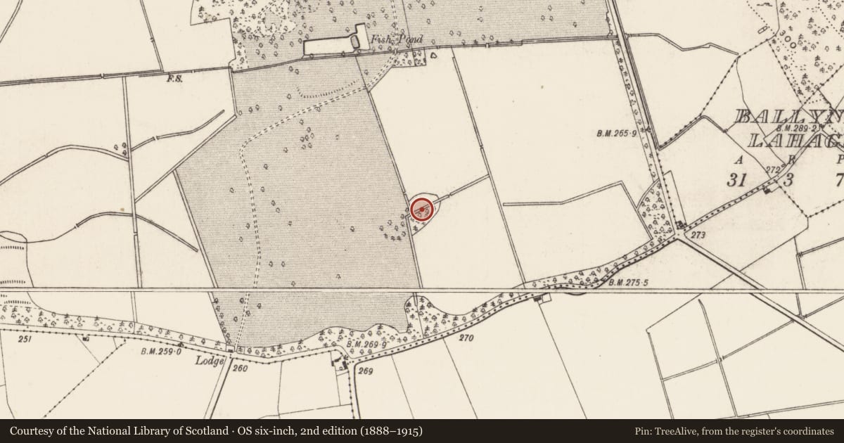 Ordnance Survey six-inch map, 2nd edition (1888–1915) covering the location of Designed landscape - tree-ring, Kilballyowen, County Limerick, with a pin at the register's coordinates