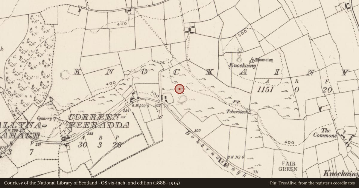 Ordnance Survey six-inch map, 2nd edition (1888–1915) covering the location of Enclosure, Knockainy West, County Limerick, with a pin at the register's coordinates