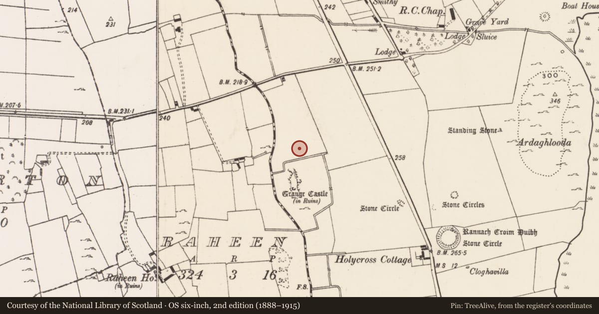 Ordnance Survey six-inch map, 2nd edition (1888–1915) covering the location of Enclosure, Grange, County Limerick, with a pin at the register's coordinates