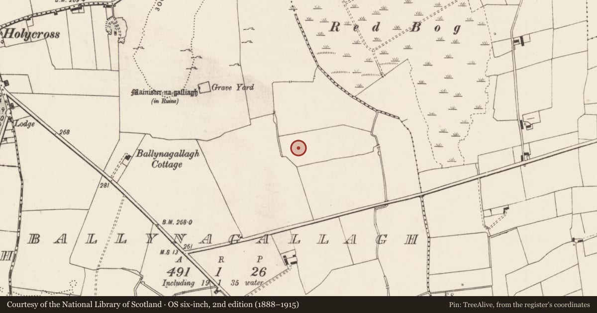 Ordnance Survey six-inch map, 2nd edition (1888–1915) covering the location of Enclosure, Ballynagallagh, County Limerick, with a pin at the register's coordinates