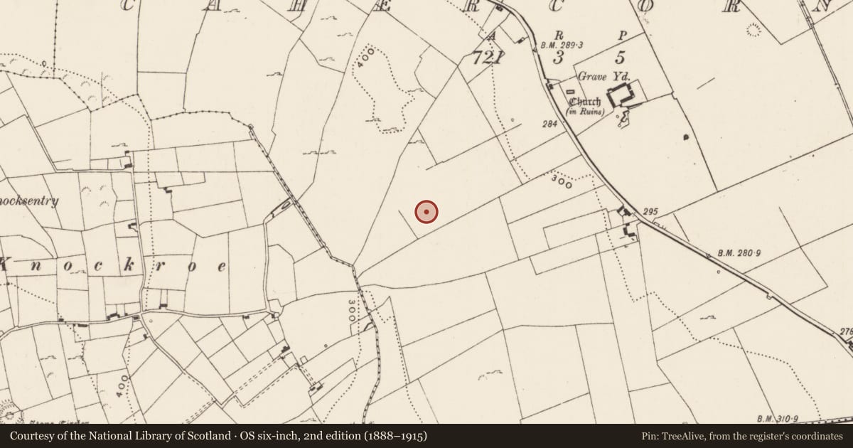 Ordnance Survey six-inch map, 2nd edition (1888–1915) covering the location of Field system, Cahercorney, County Limerick, with a pin at the register's coordinates