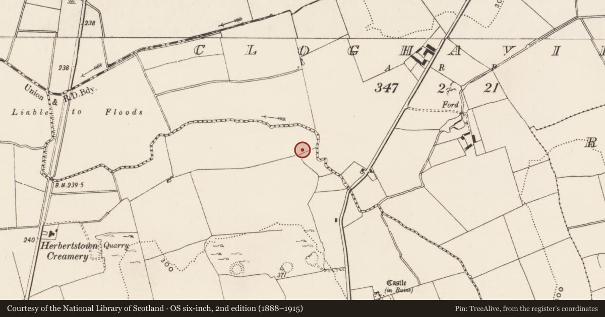 Ordnance Survey six-inch map, 2nd edition (1888–1915) covering the location of Enclosure, Ballinard, County Limerick, with a pin at the register's coordinates