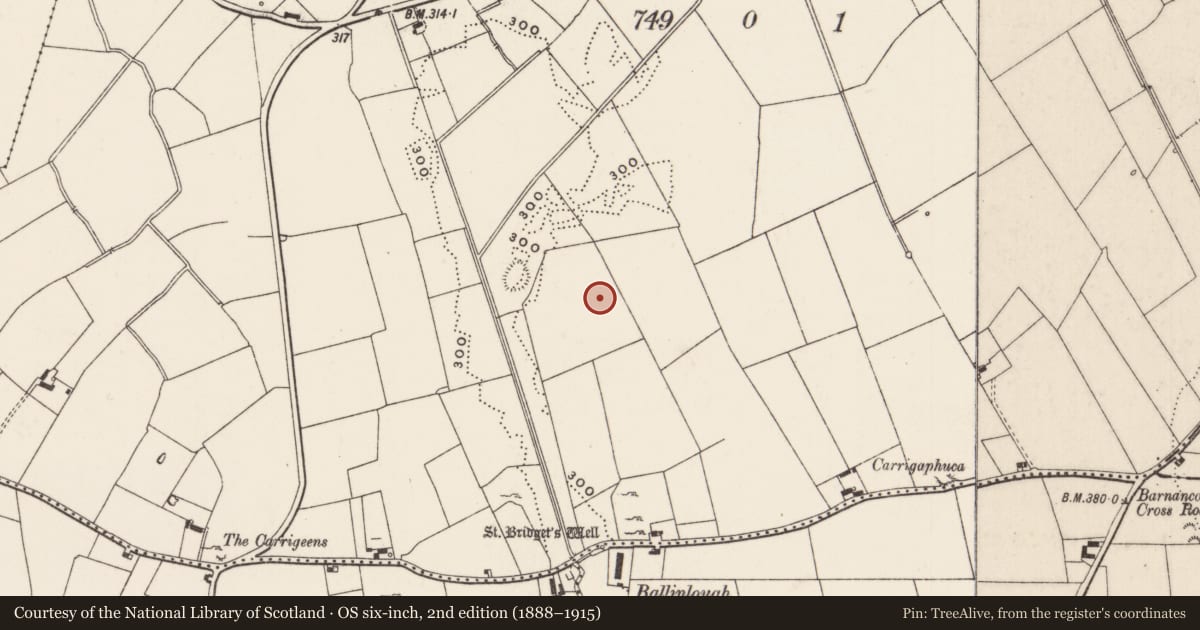 Ordnance Survey six-inch map, 2nd edition (1888–1915) covering the location of Barrow - ring-barrow, Kildromin, County Limerick, with a pin at the register's coordinates