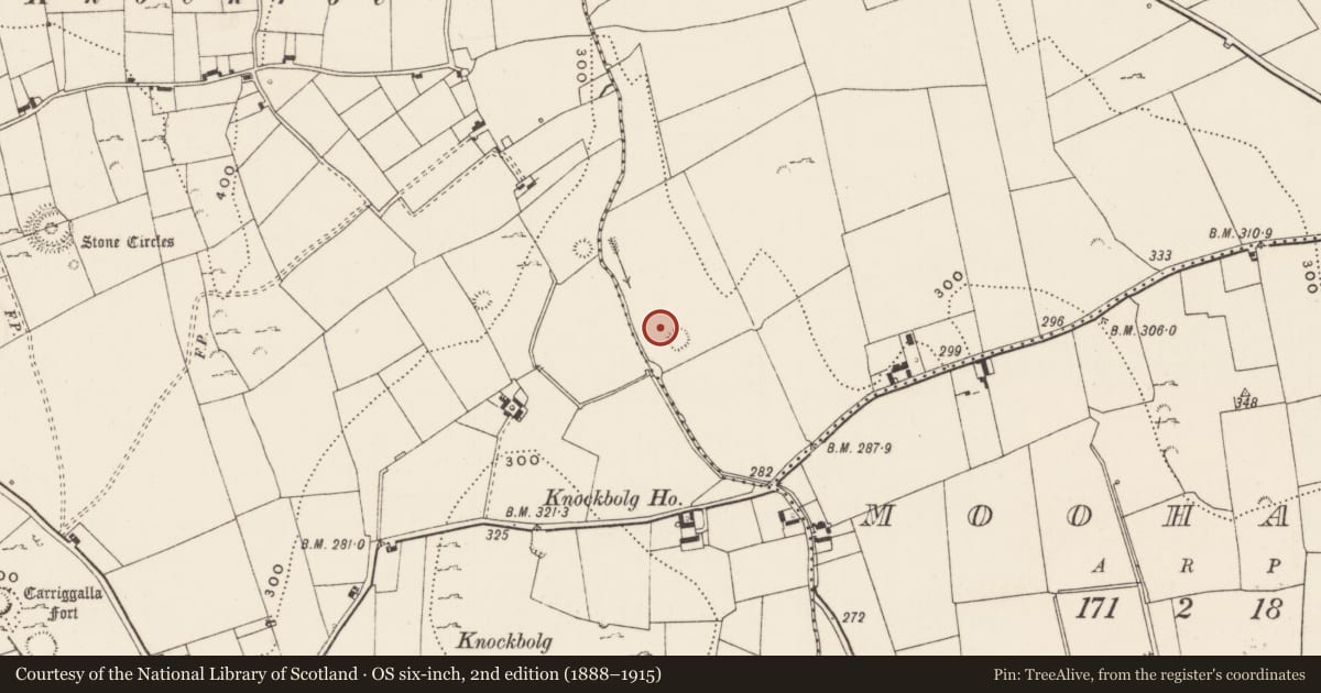 Ordnance Survey six-inch map, 2nd edition (1888–1915) covering the location of Enclosure, Cahercorney, County Limerick, with a pin at the register's coordinates