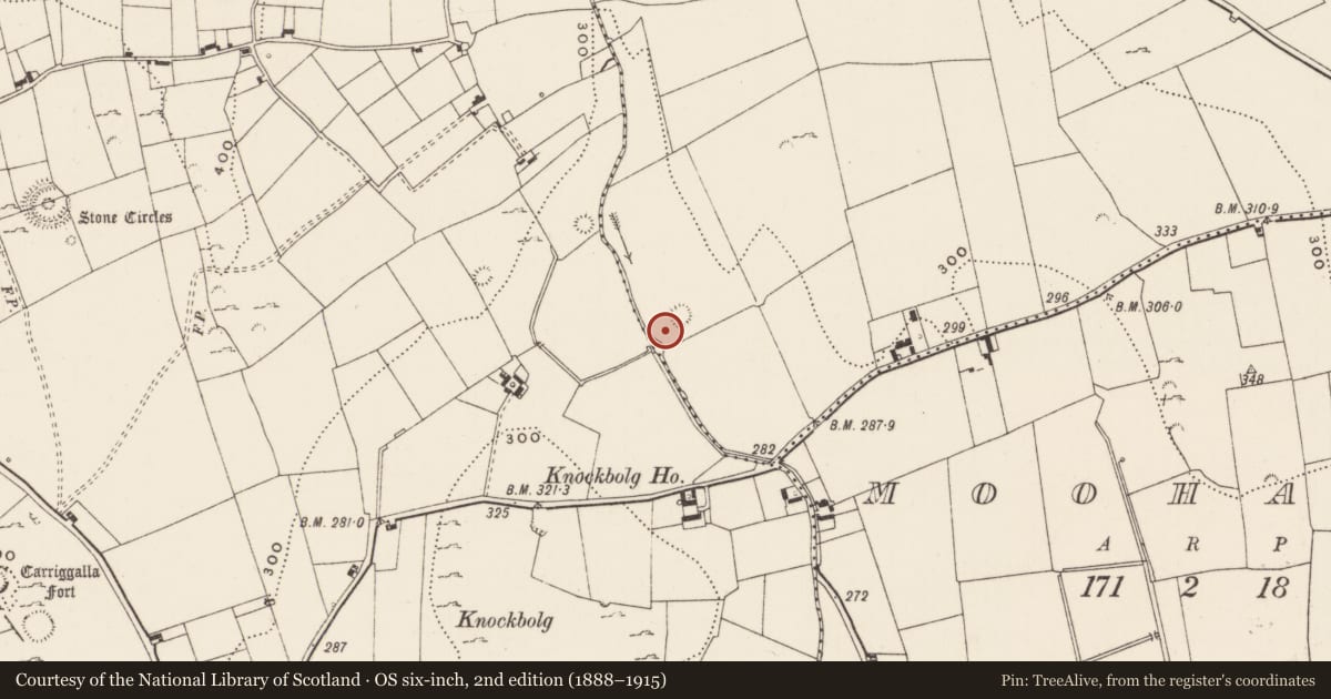 Ordnance Survey six-inch map, 2nd edition (1888–1915) covering the location of Enclosure, Cahercorney, County Limerick, with a pin at the register's coordinates