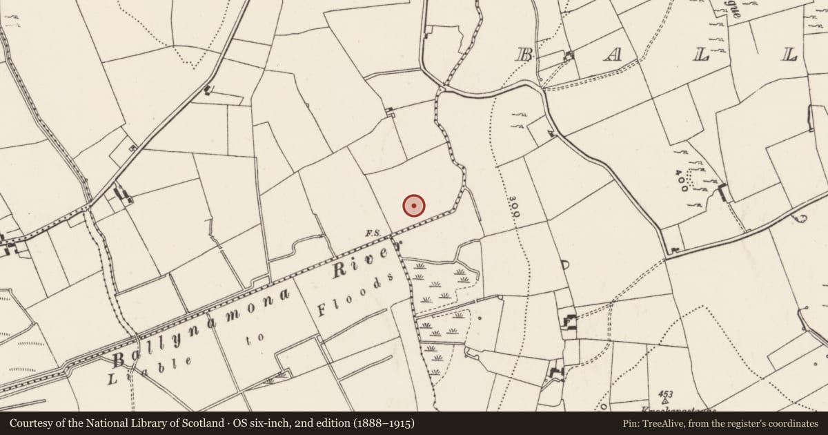 Ordnance Survey six-inch map, 2nd edition (1888–1915) covering the location of Barrow - ring-barrow, Ballynagranagh, County Limerick, with a pin at the register's coordinates