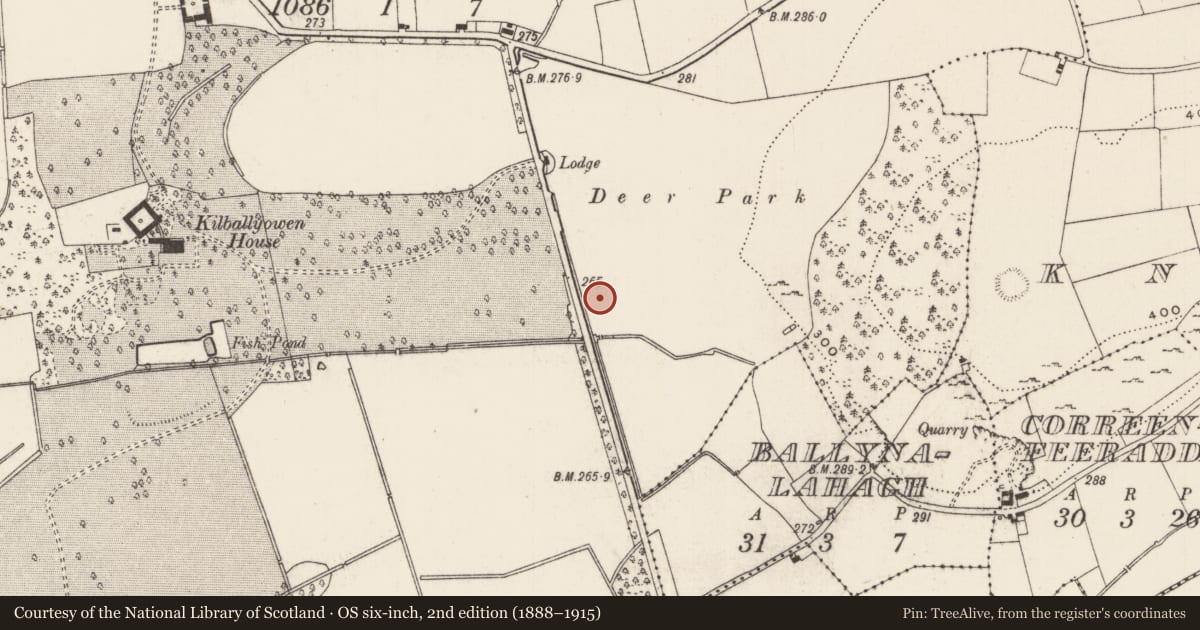 Ordnance Survey six-inch map, 2nd edition (1888–1915) covering the location of Earthwork, Kilballyowen, County Limerick, with a pin at the register's coordinates