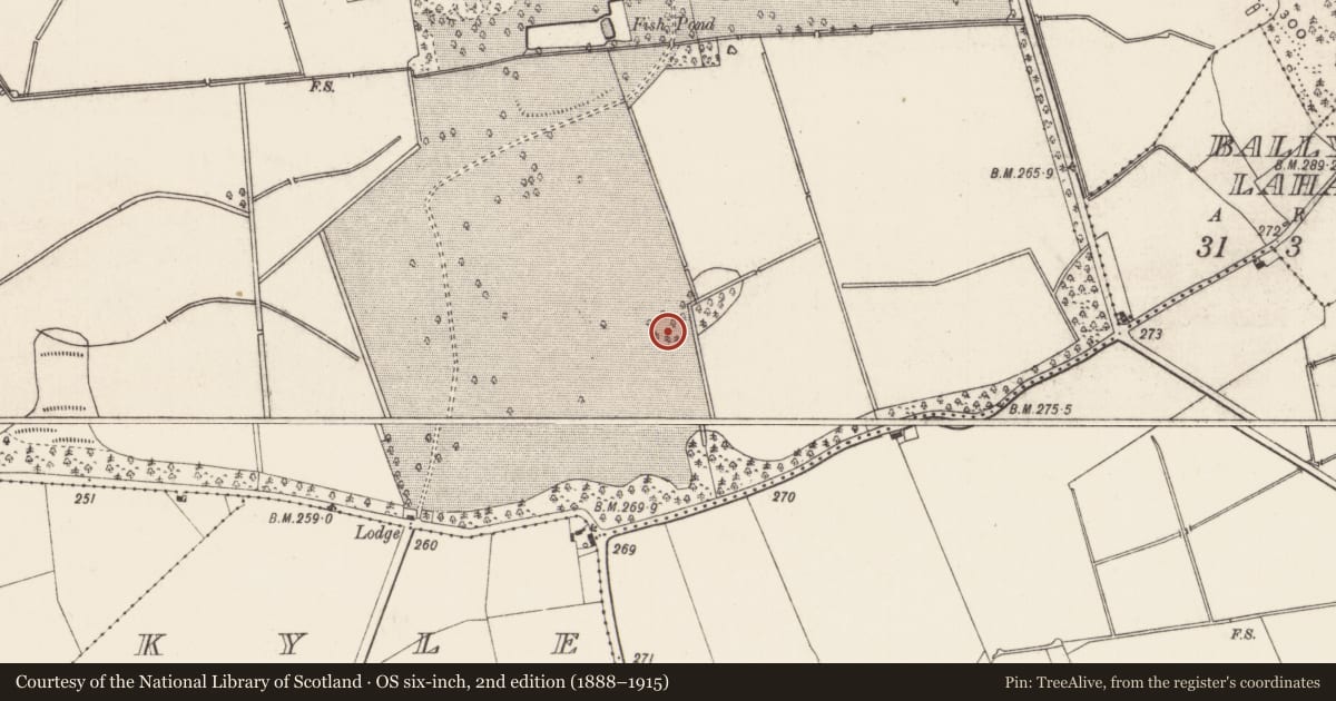 Ordnance Survey six-inch map, 2nd edition (1888–1915) covering the location of Designed landscape - tree-ring, Kilballyowen, County Limerick, with a pin at the register's coordinates