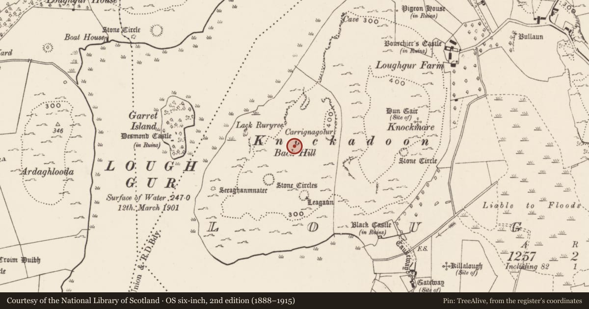 Ordnance Survey six-inch map, 2nd edition (1888–1915) covering the location of Cist, Loughgur, County Limerick, with a pin at the register's coordinates