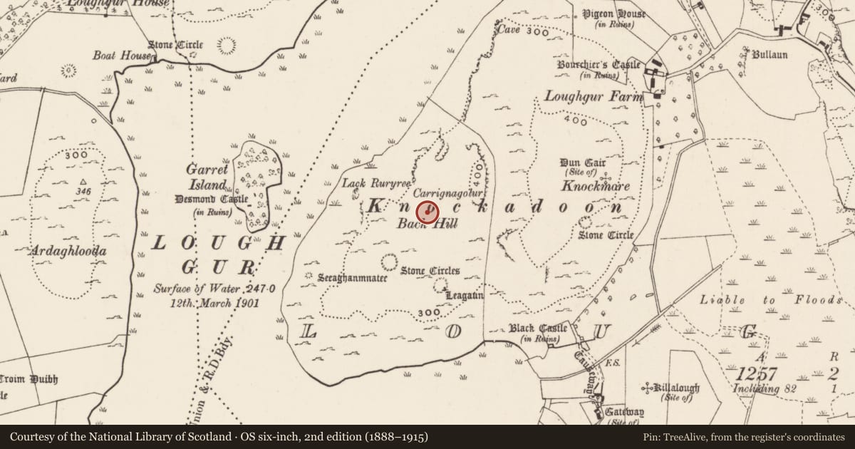 Ordnance Survey six-inch map, 2nd edition (1888–1915) covering the location of Cist, Loughgur, County Limerick, with a pin at the register's coordinates
