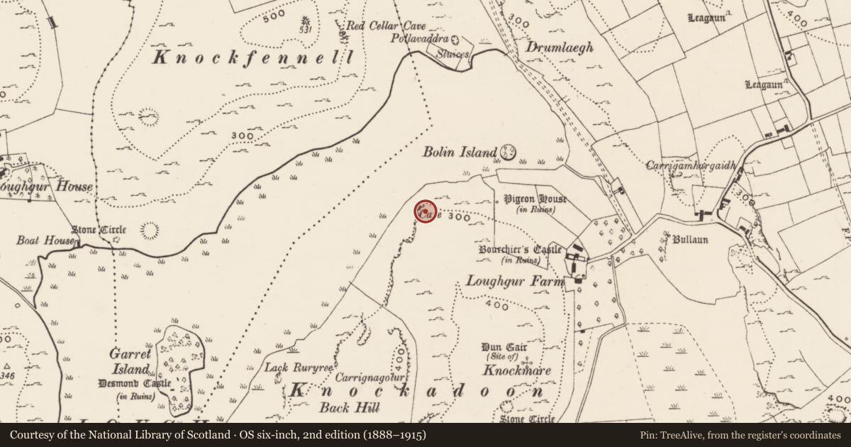 Ordnance Survey six-inch map, 2nd edition (1888–1915) covering the location of Cist, Loughgur, County Limerick, with a pin at the register's coordinates