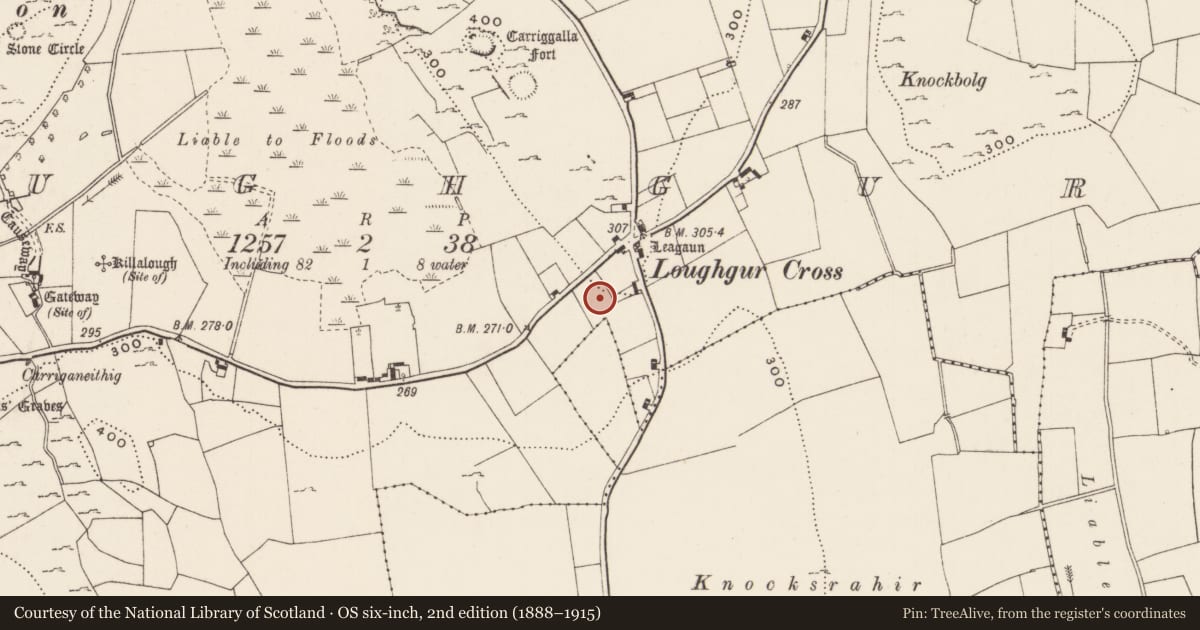 Ordnance Survey six-inch map, 2nd edition (1888–1915) covering the location of Excavation - miscellaneous, Loughgur, County Limerick, with a pin at the register's coordinates