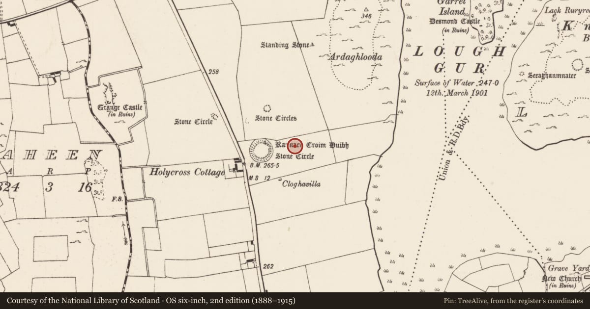 Ordnance Survey six-inch map, 2nd edition (1888–1915) covering the location of Structure, Grange, County Limerick, with a pin at the register's coordinates
